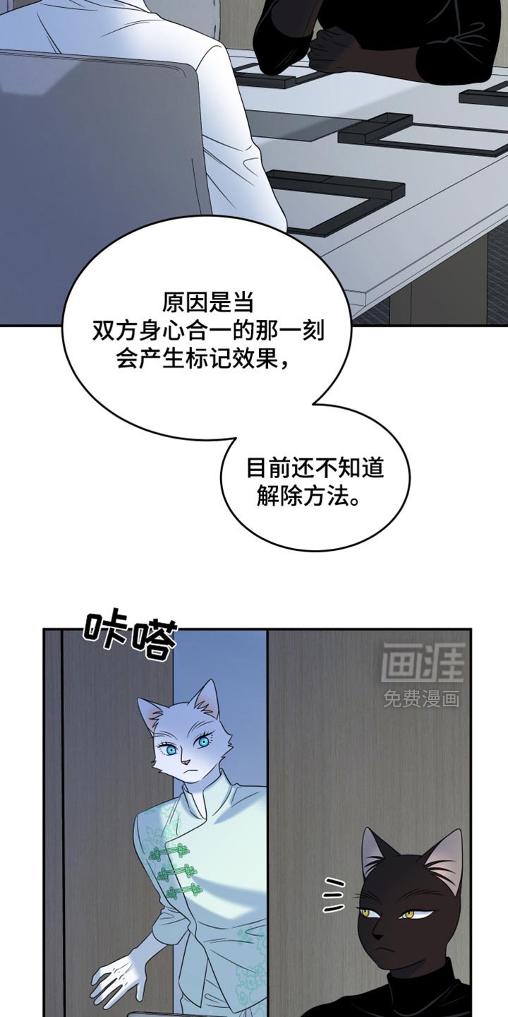 第116章：【第三季】我不会让你失望的