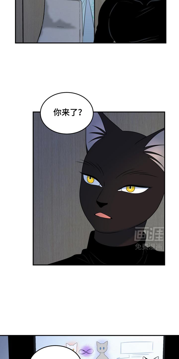 第116章：【第三季】我不会让你失望的