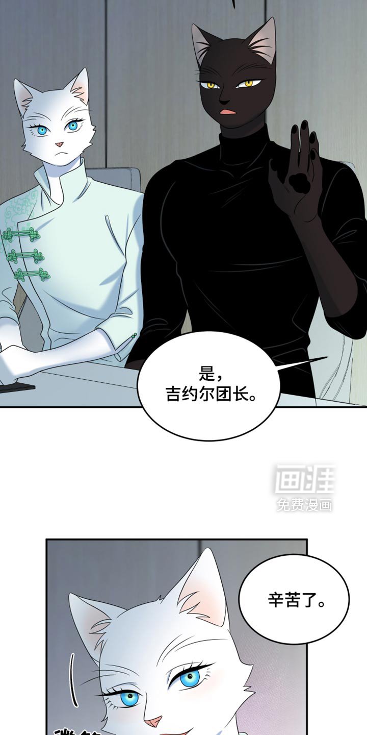 第116章：【第三季】我不会让你失望的