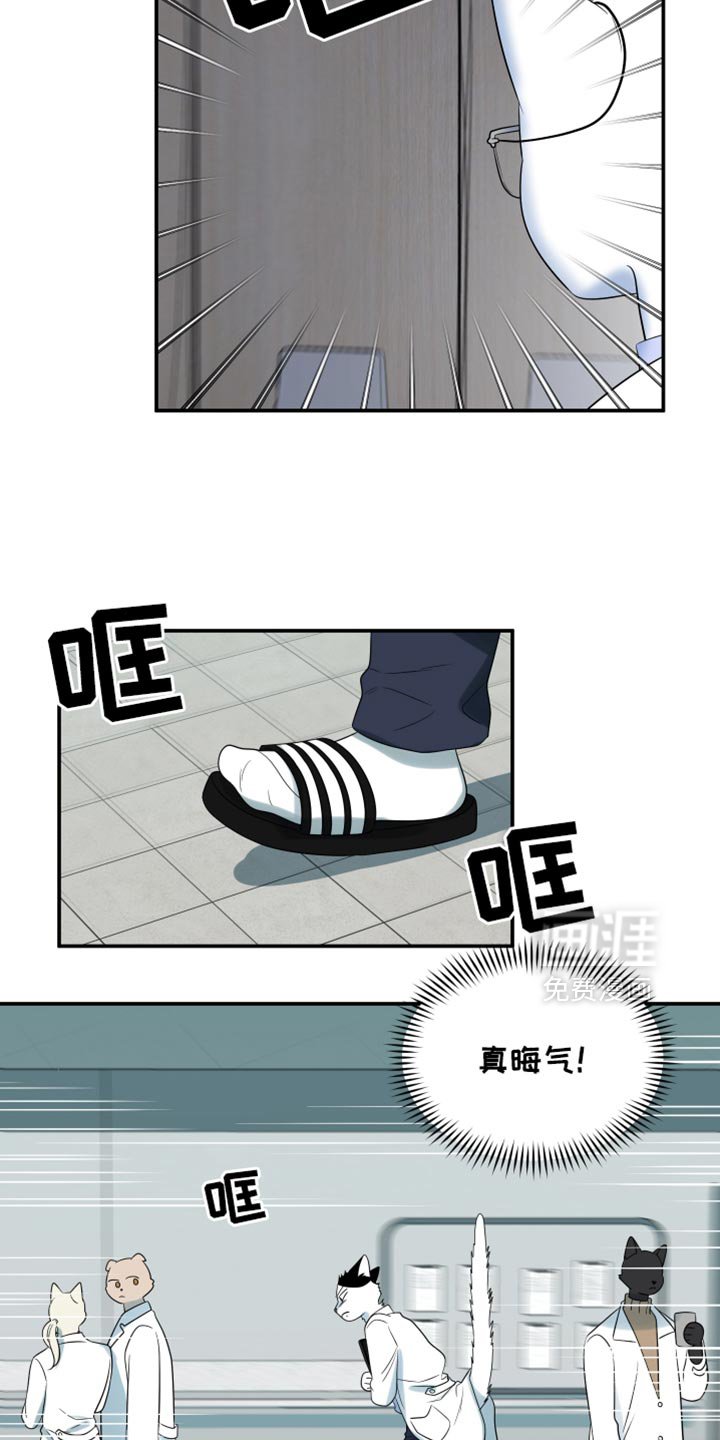 第117章：【第三季】真晦气