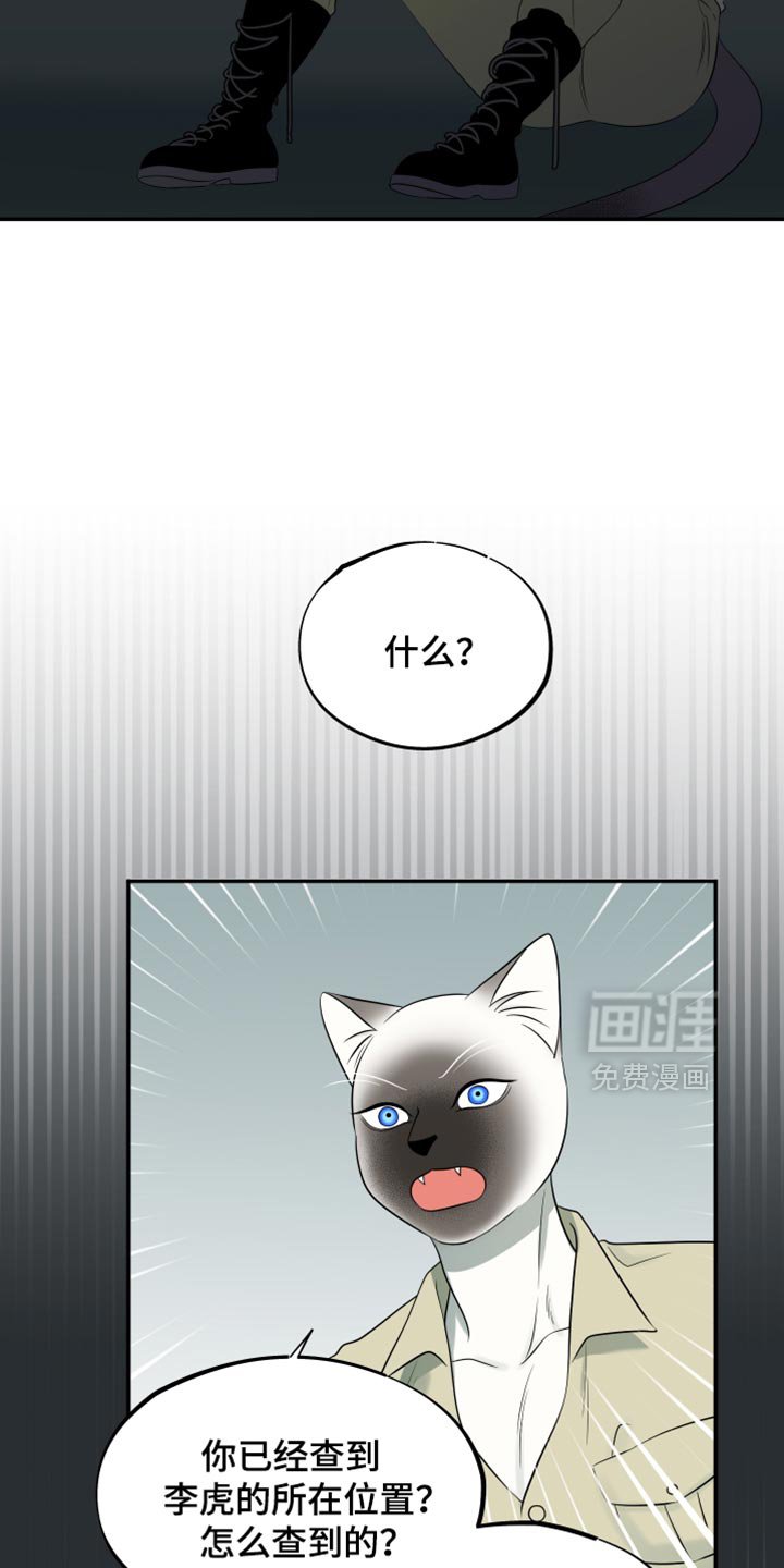 第117章：【第三季】真晦气