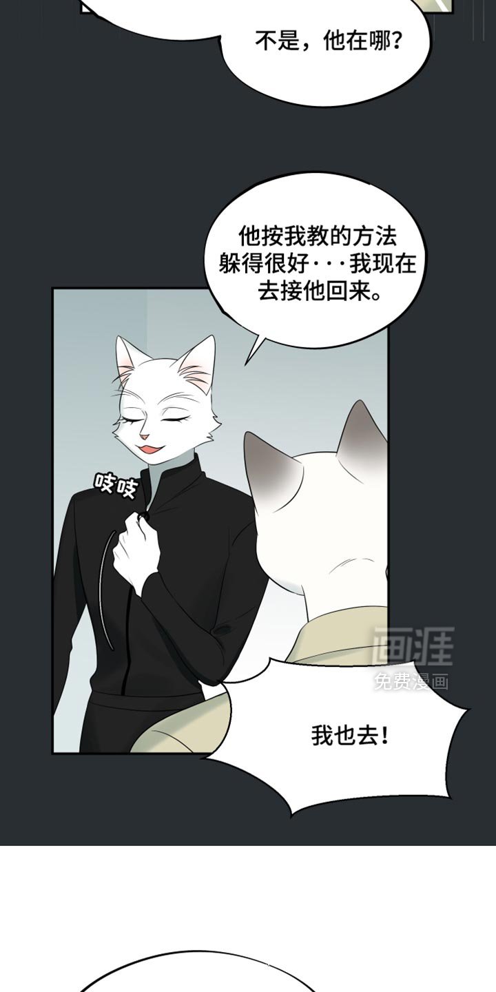 第117章：【第三季】真晦气