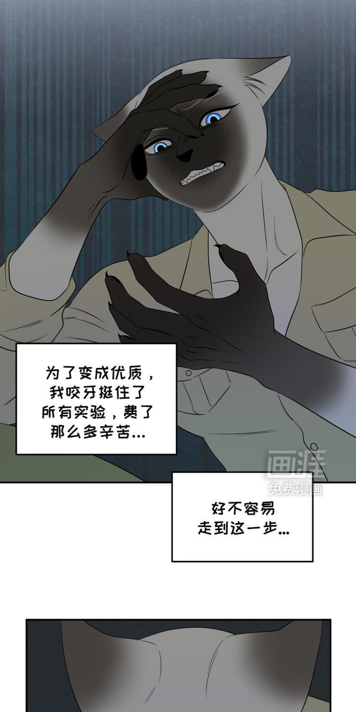 第118章：【第三季】我们再努力一次