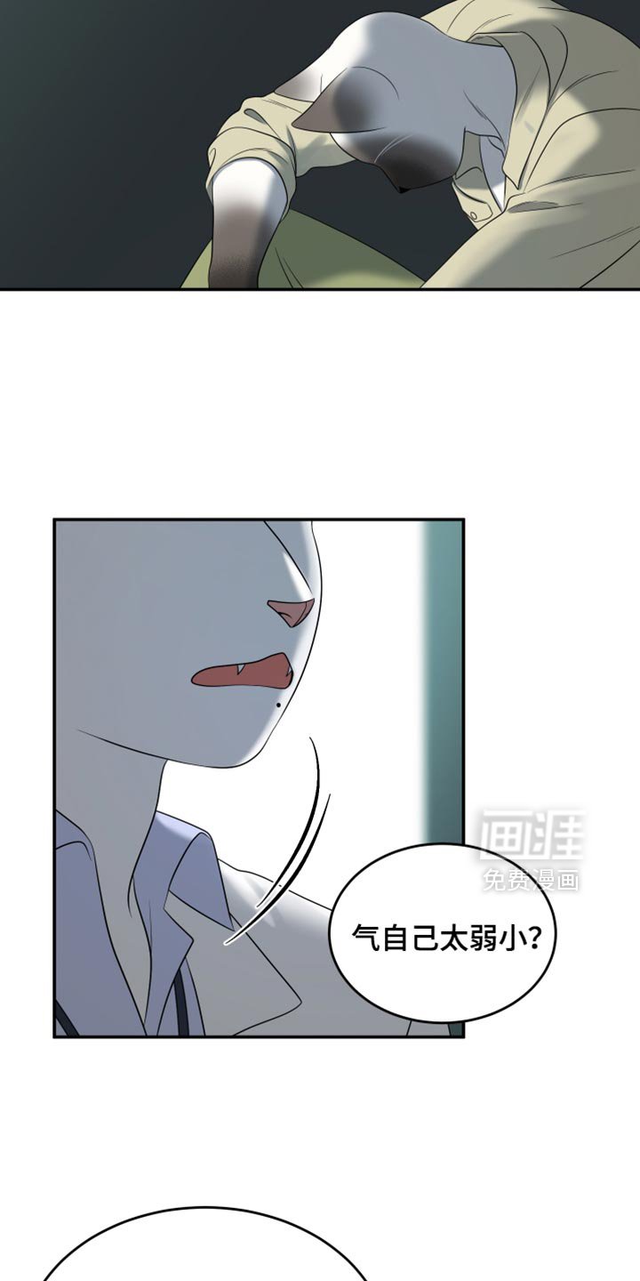 第118章：【第三季】我们再努力一次