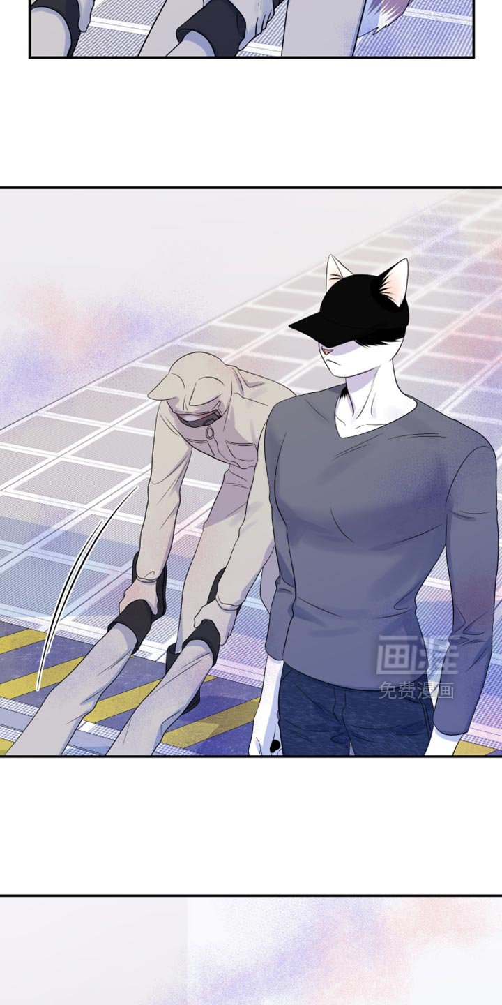 第118章：【第三季】我们再努力一次