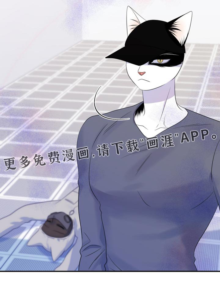 第118章：【第三季】我们再努力一次