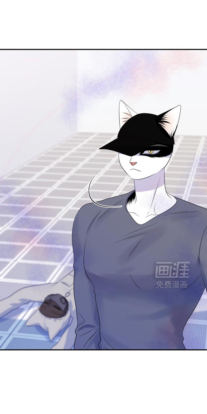 第119章：【第三季】新来的新人
