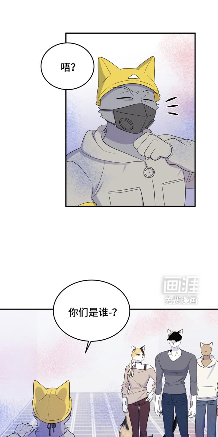 第119章：【第三季】新来的新人