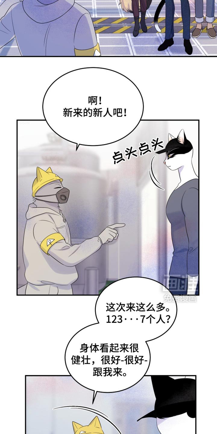 第119章：【第三季】新来的新人