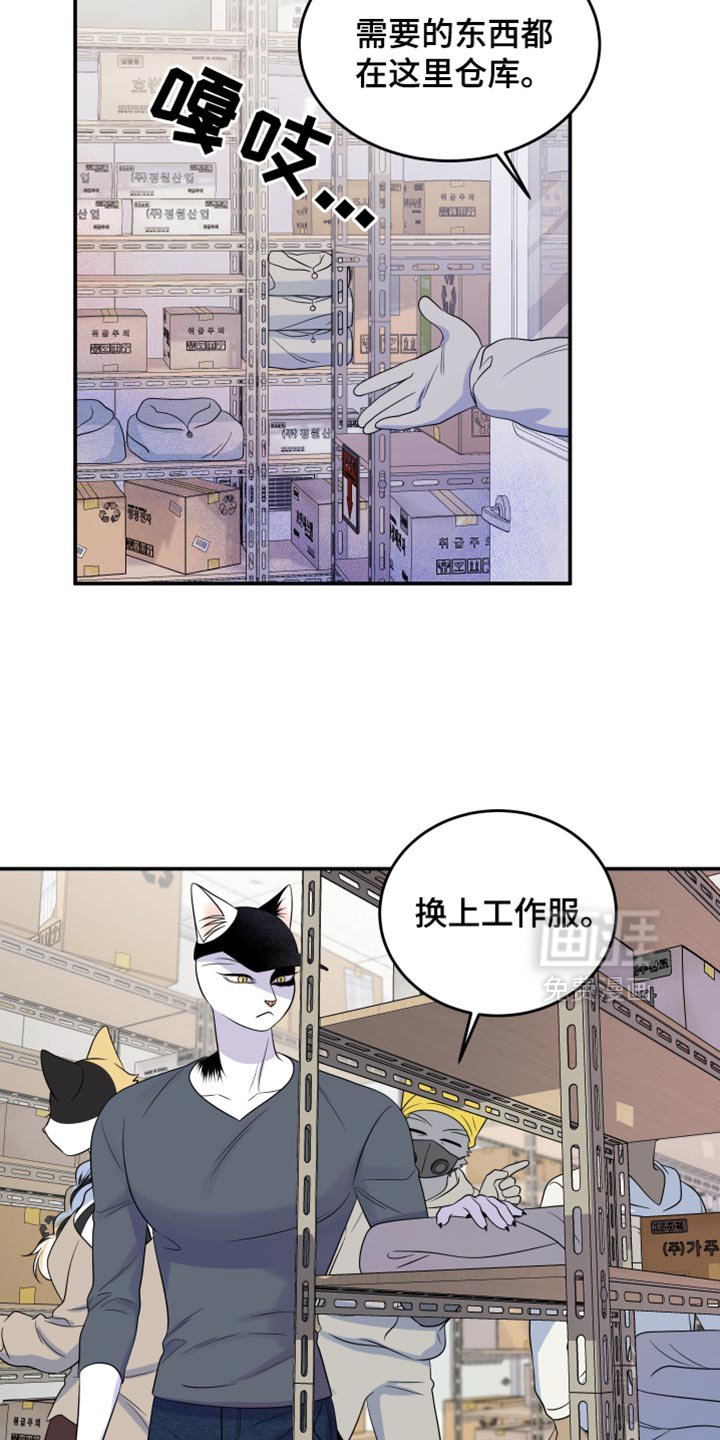 第119章：【第三季】新来的新人