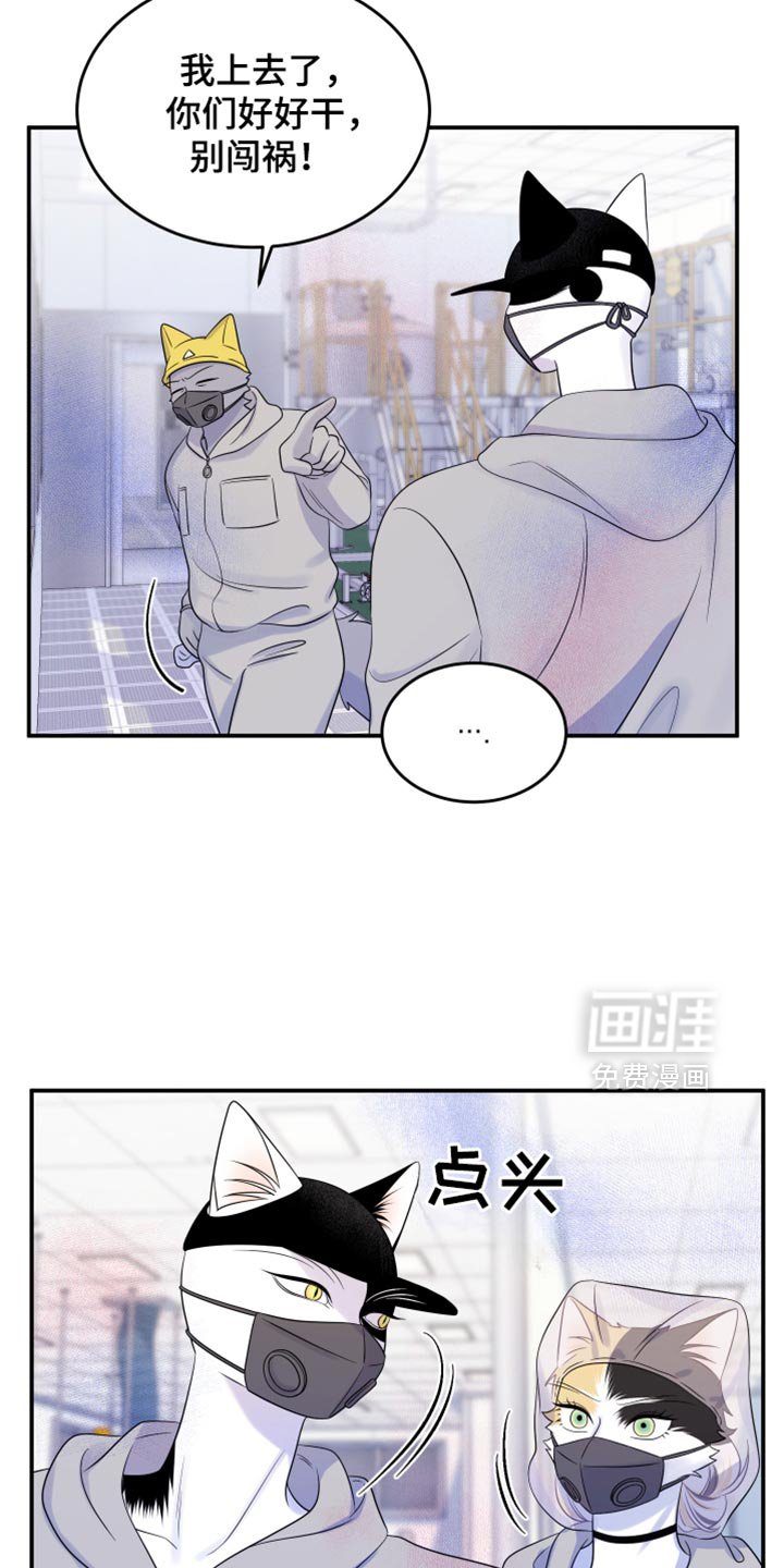 第119章：【第三季】新来的新人