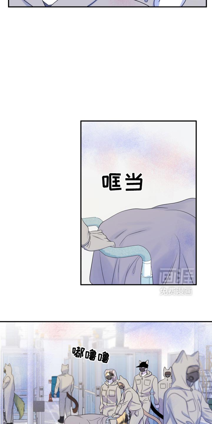 第119章：【第三季】新来的新人