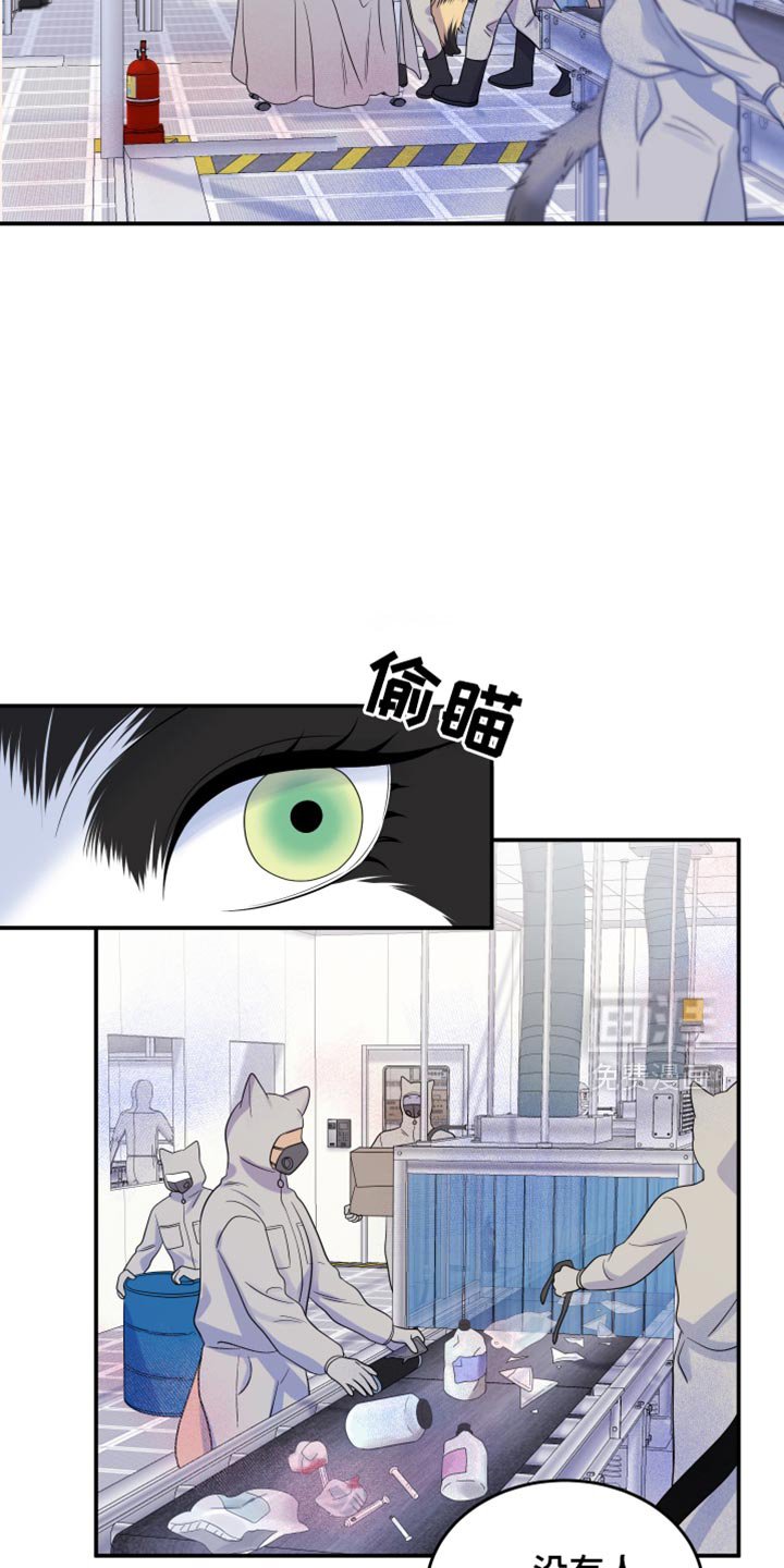 第119章：【第三季】新来的新人