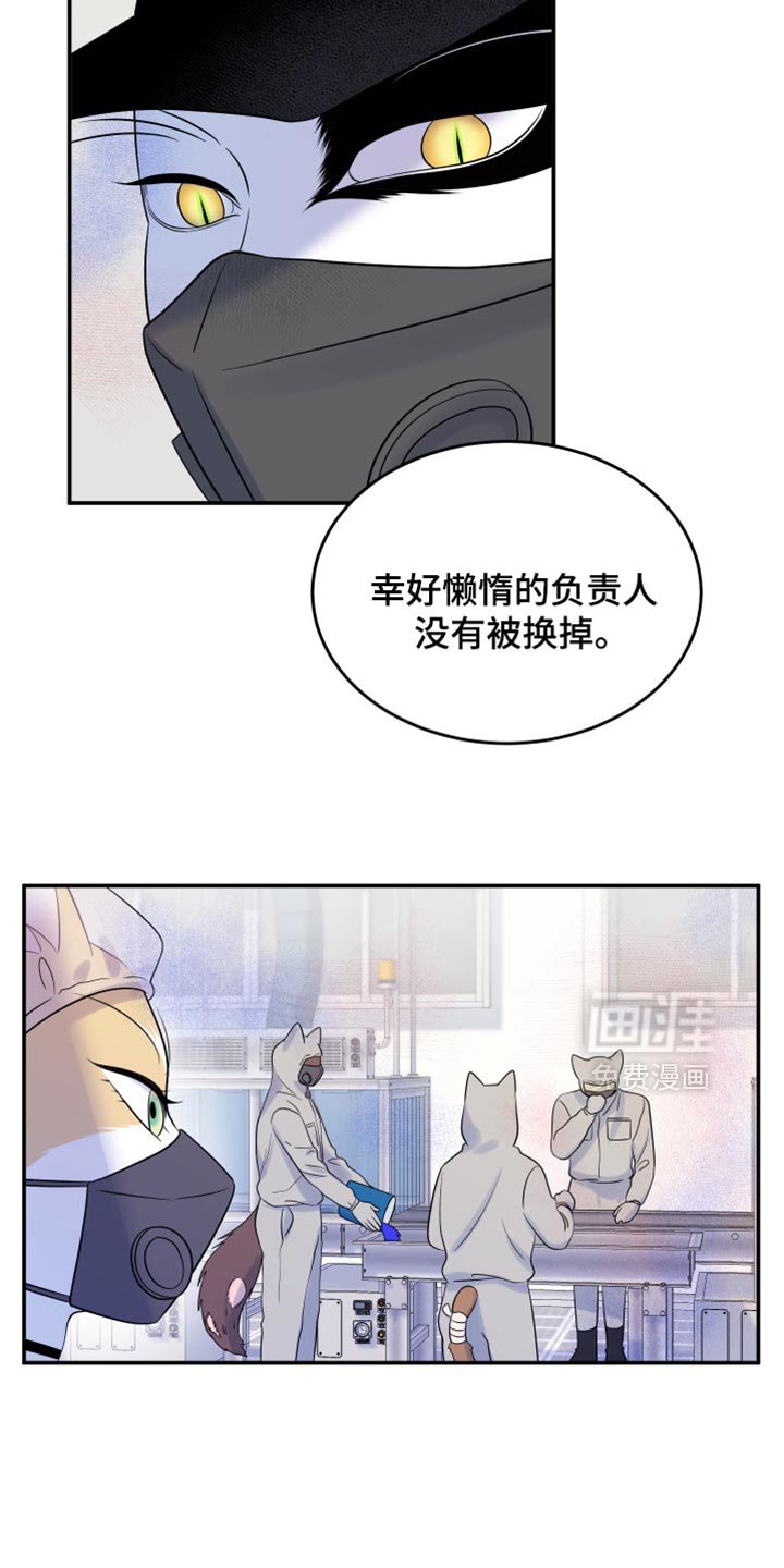 第119章：【第三季】新来的新人