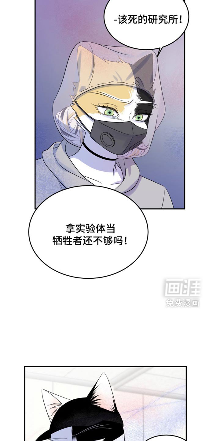 第119章：【第三季】新来的新人
