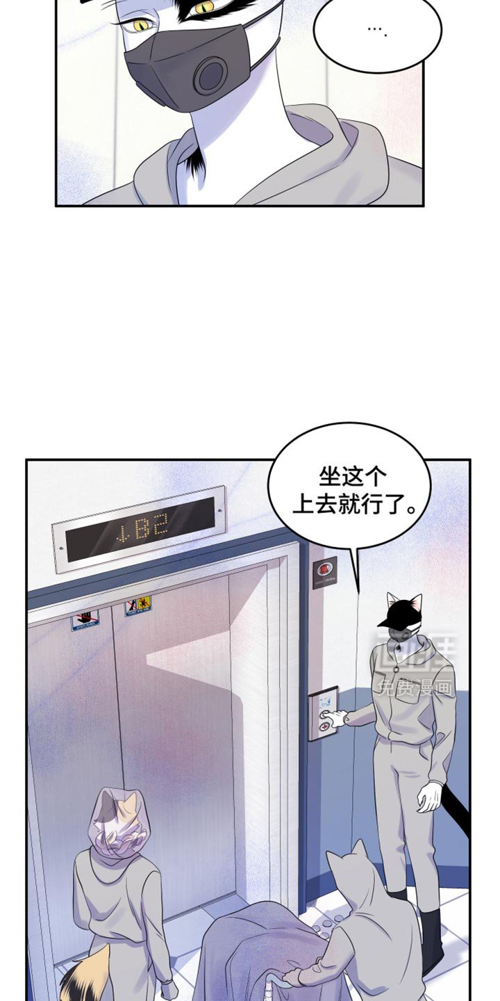 第119章：【第三季】新来的新人