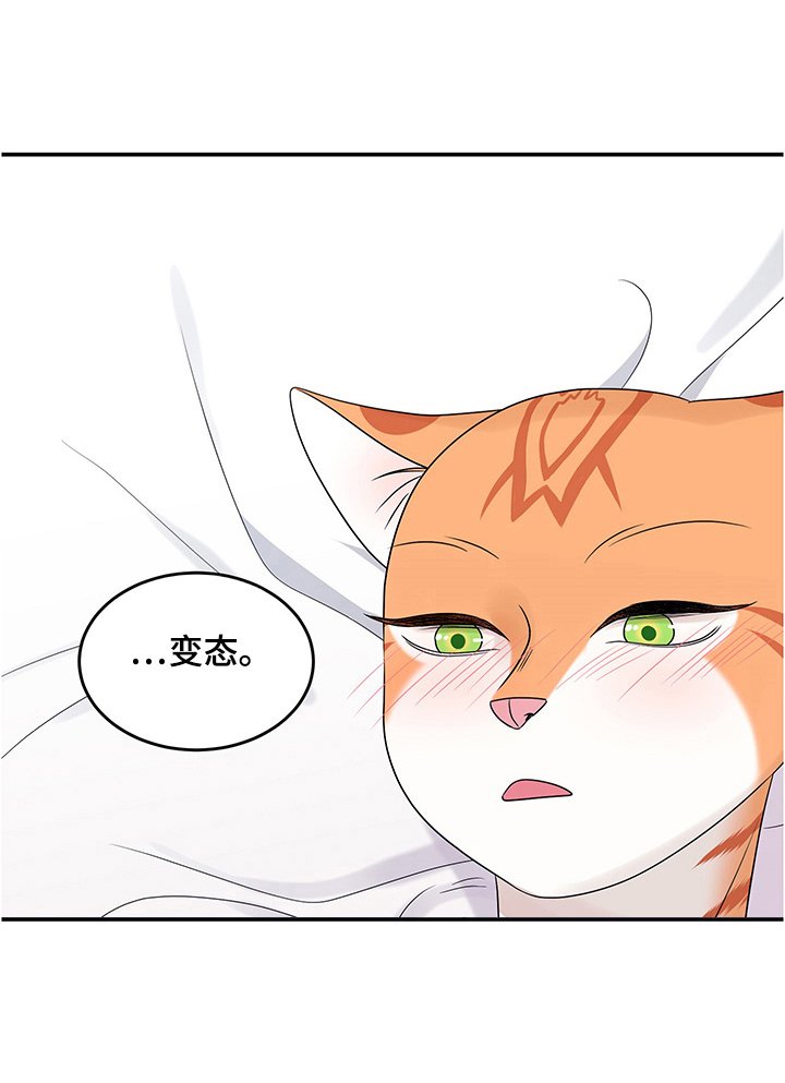 第12章：义务