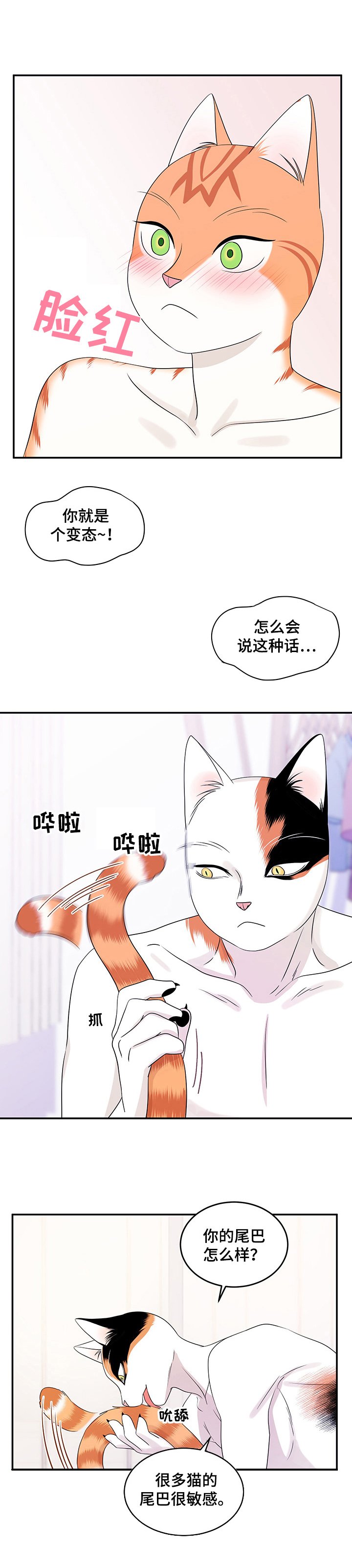 第12章：义务