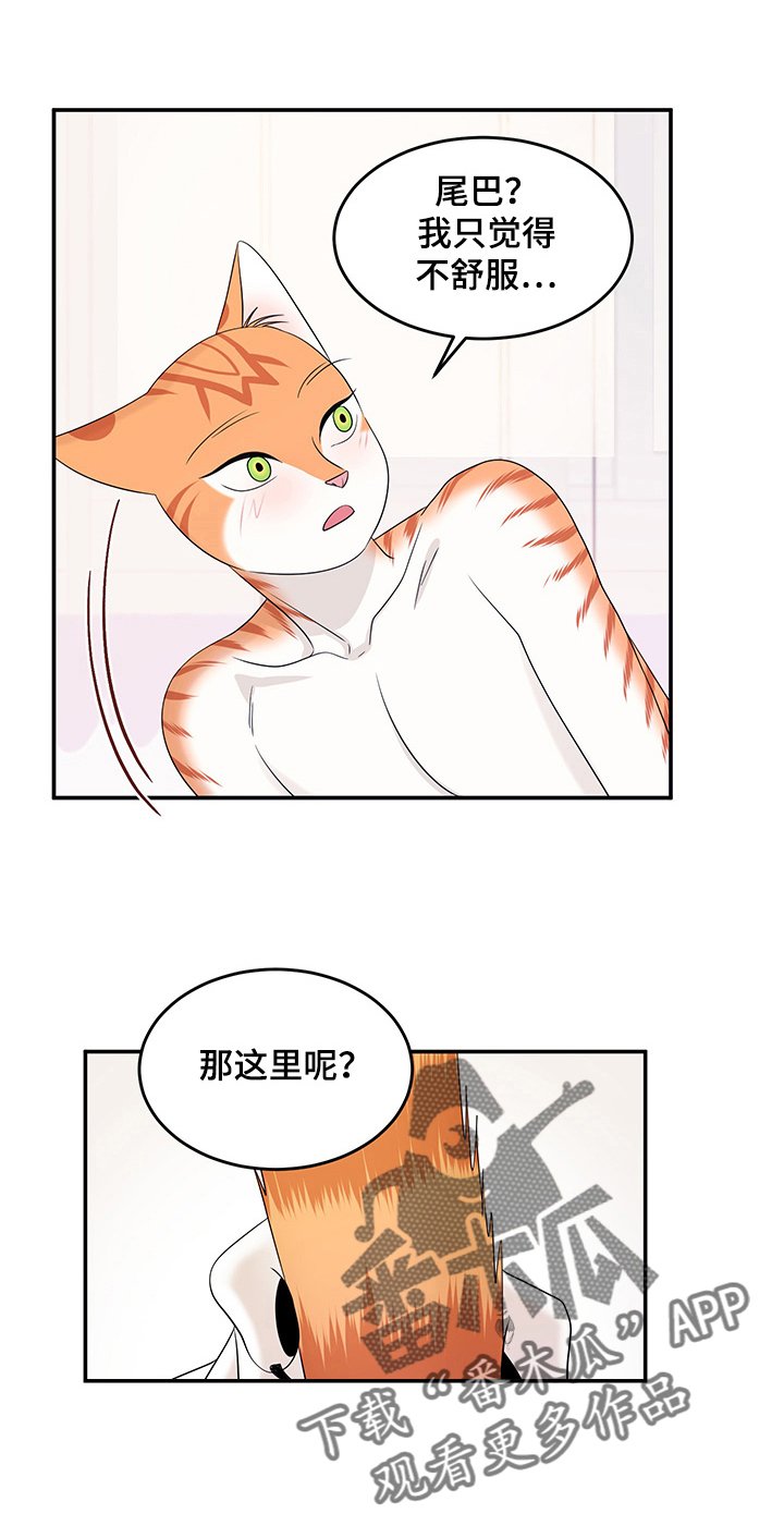第12章：义务