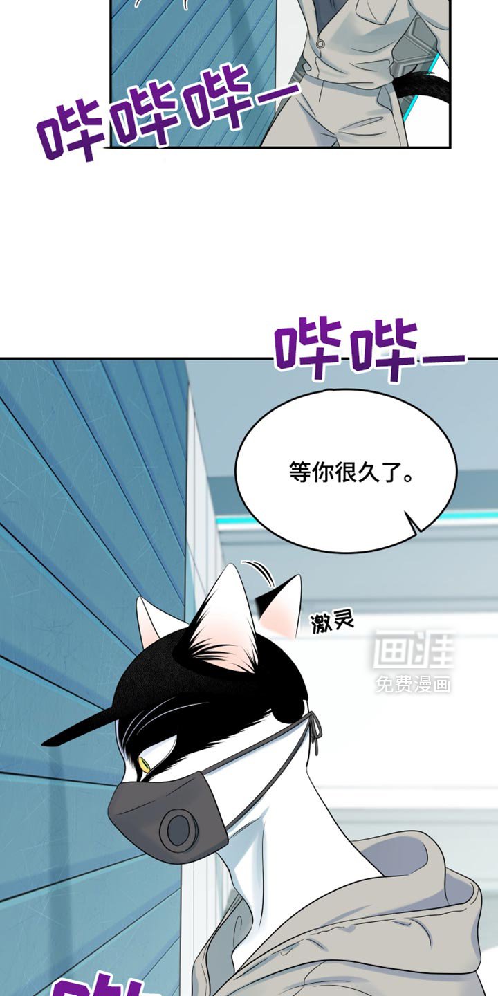 第120章：【第三季】等你很久了