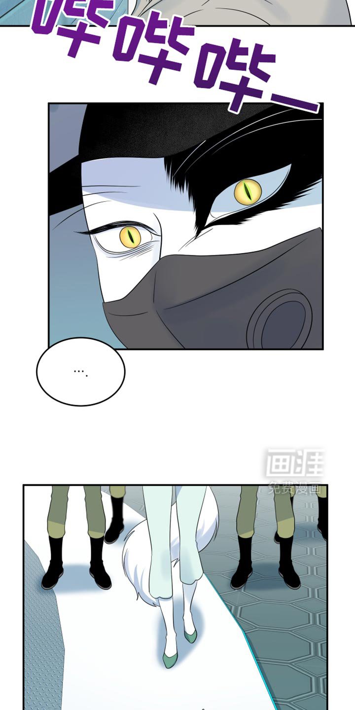 第120章：【第三季】等你很久了