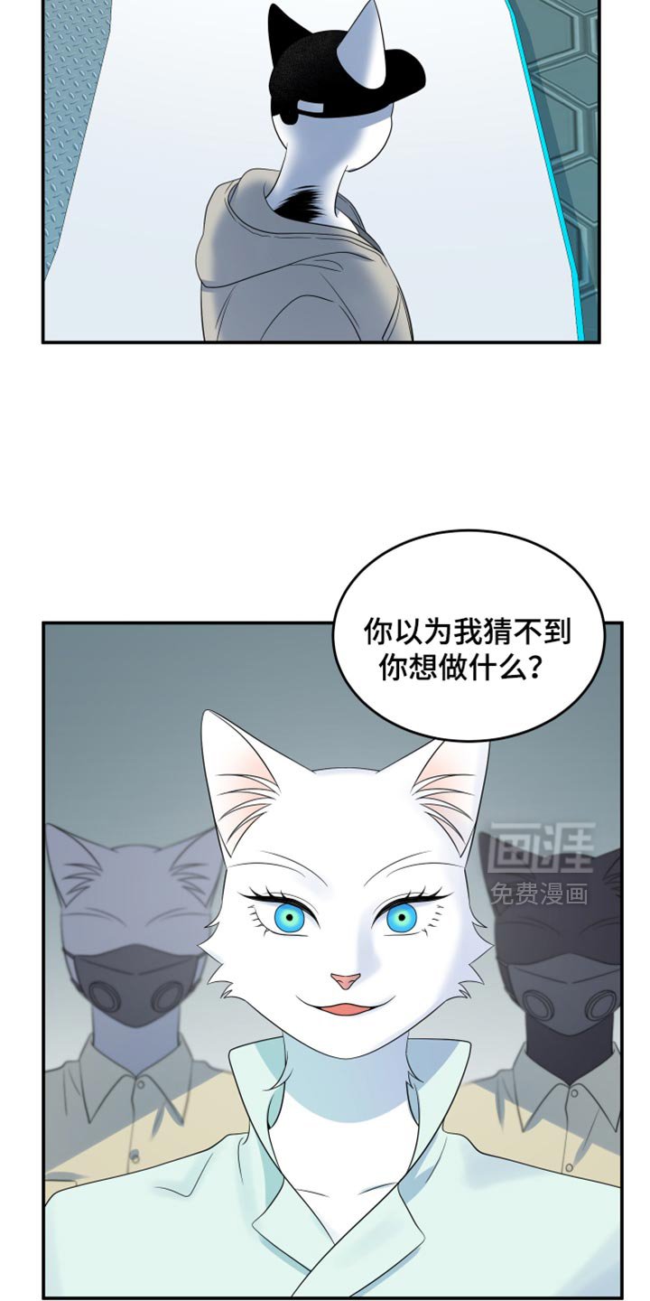第120章：【第三季】等你很久了