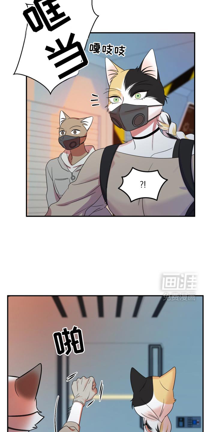 第121章：【第三季】迅速离开