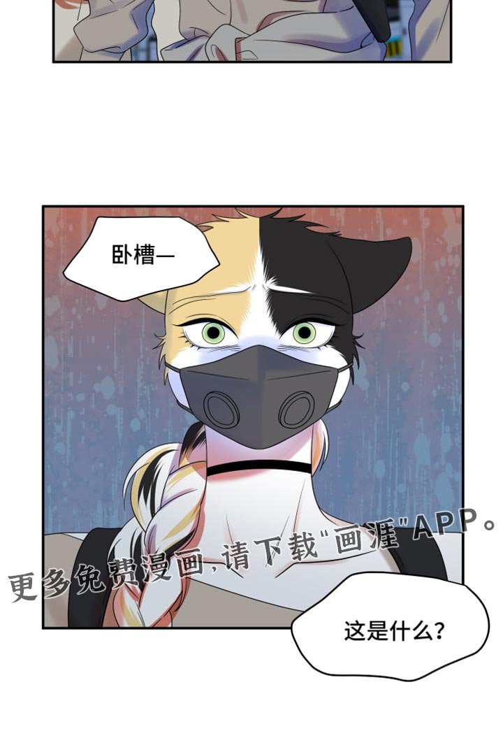 第121章：【第三季】迅速离开