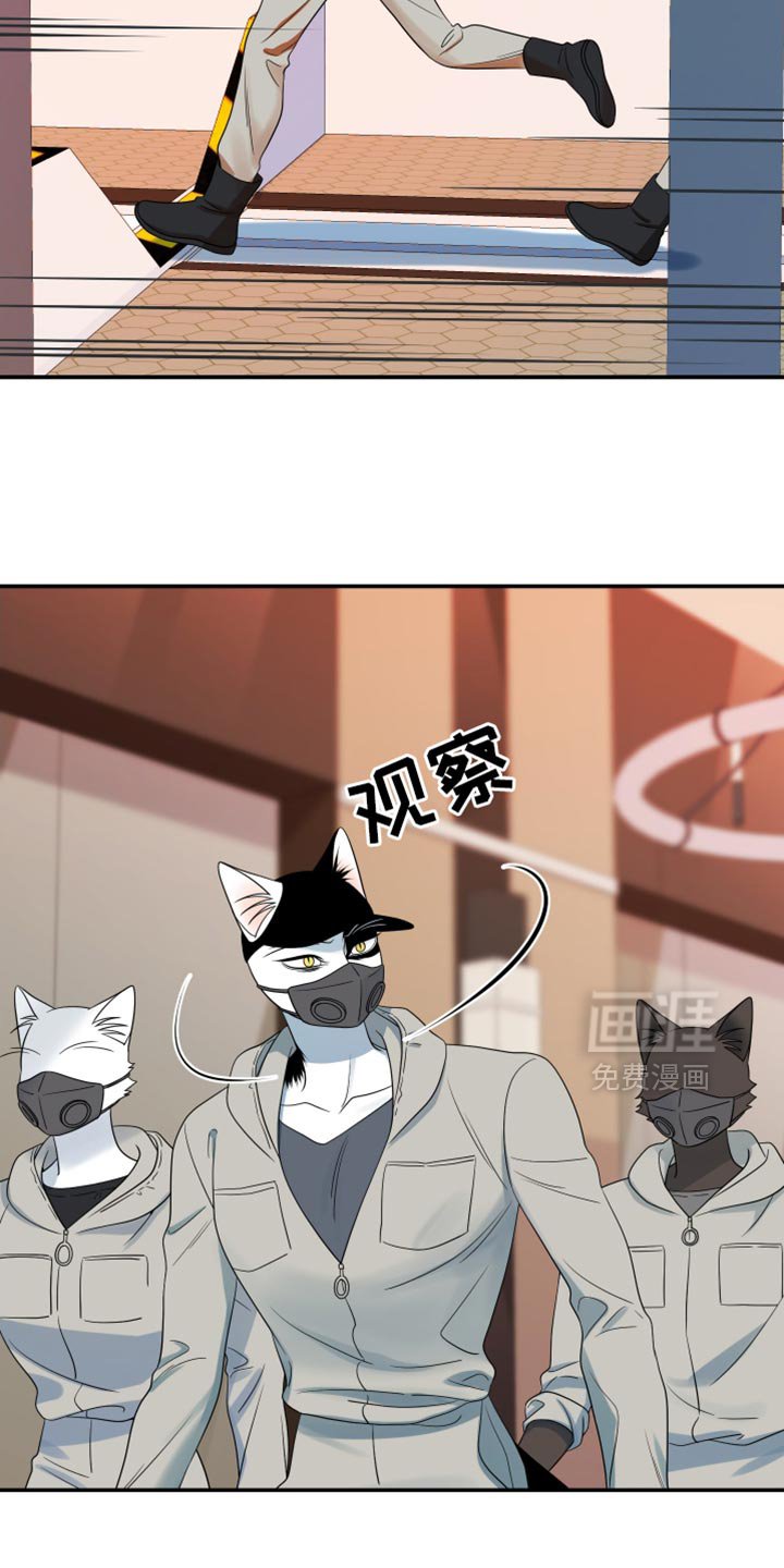 第123章：【第三季】变异