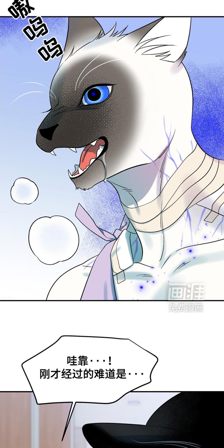 第123章：【第三季】变异