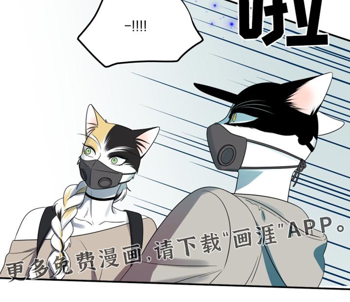 第123章：【第三季】变异