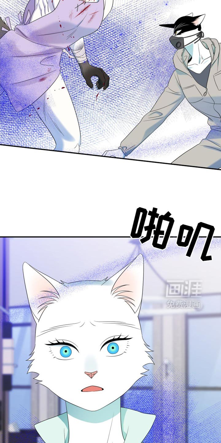 第124章：【第三季】失去理智
