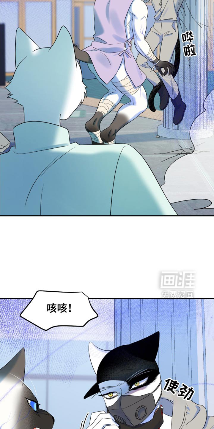 第124章：【第三季】失去理智