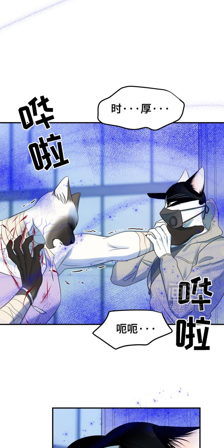 第124章：【第三季】失去理智
