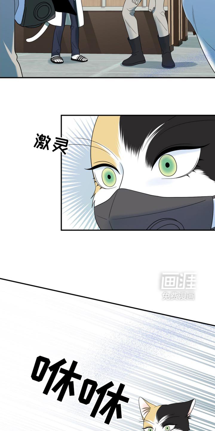 第125章：【第三季】必须离开这里
