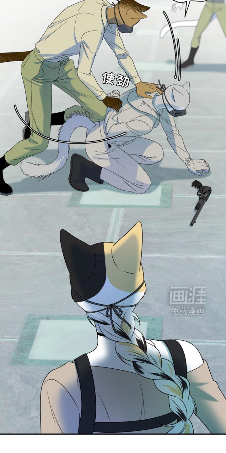 第125章：【第三季】必须离开这里