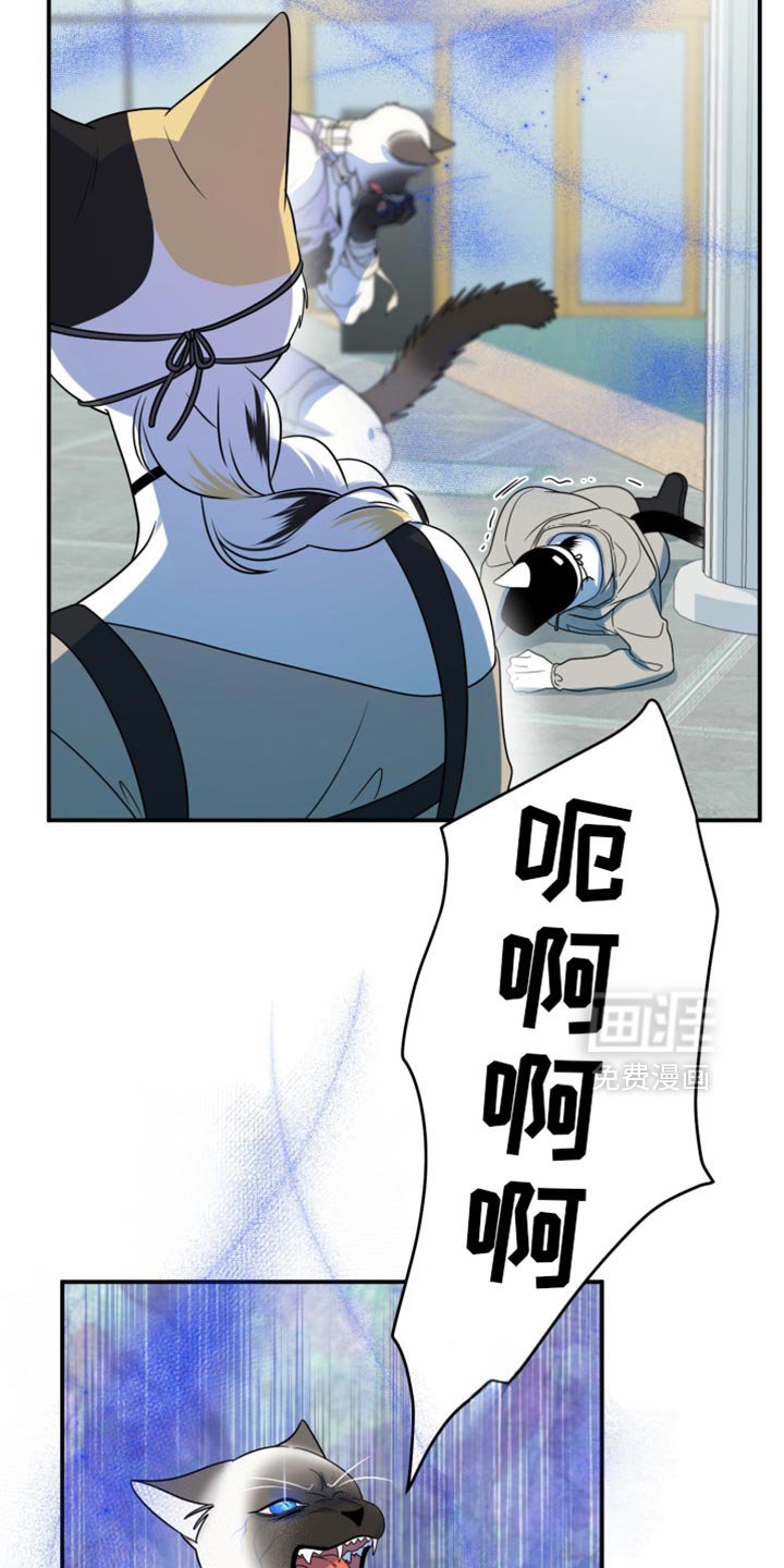 第125章：【第三季】必须离开这里