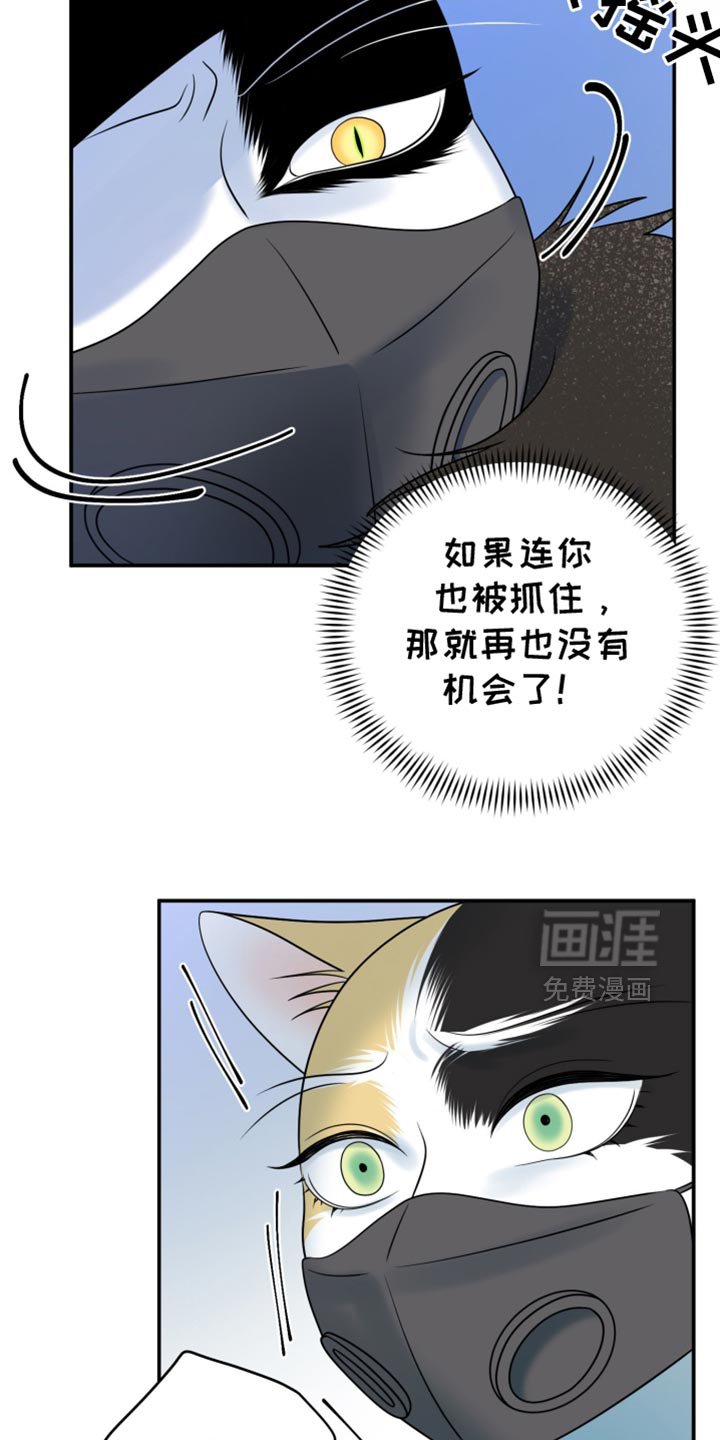 第126章：【第三季】冷静