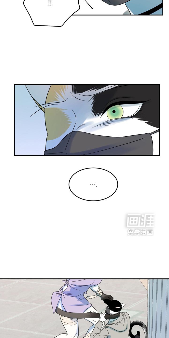 第126章：【第三季】冷静