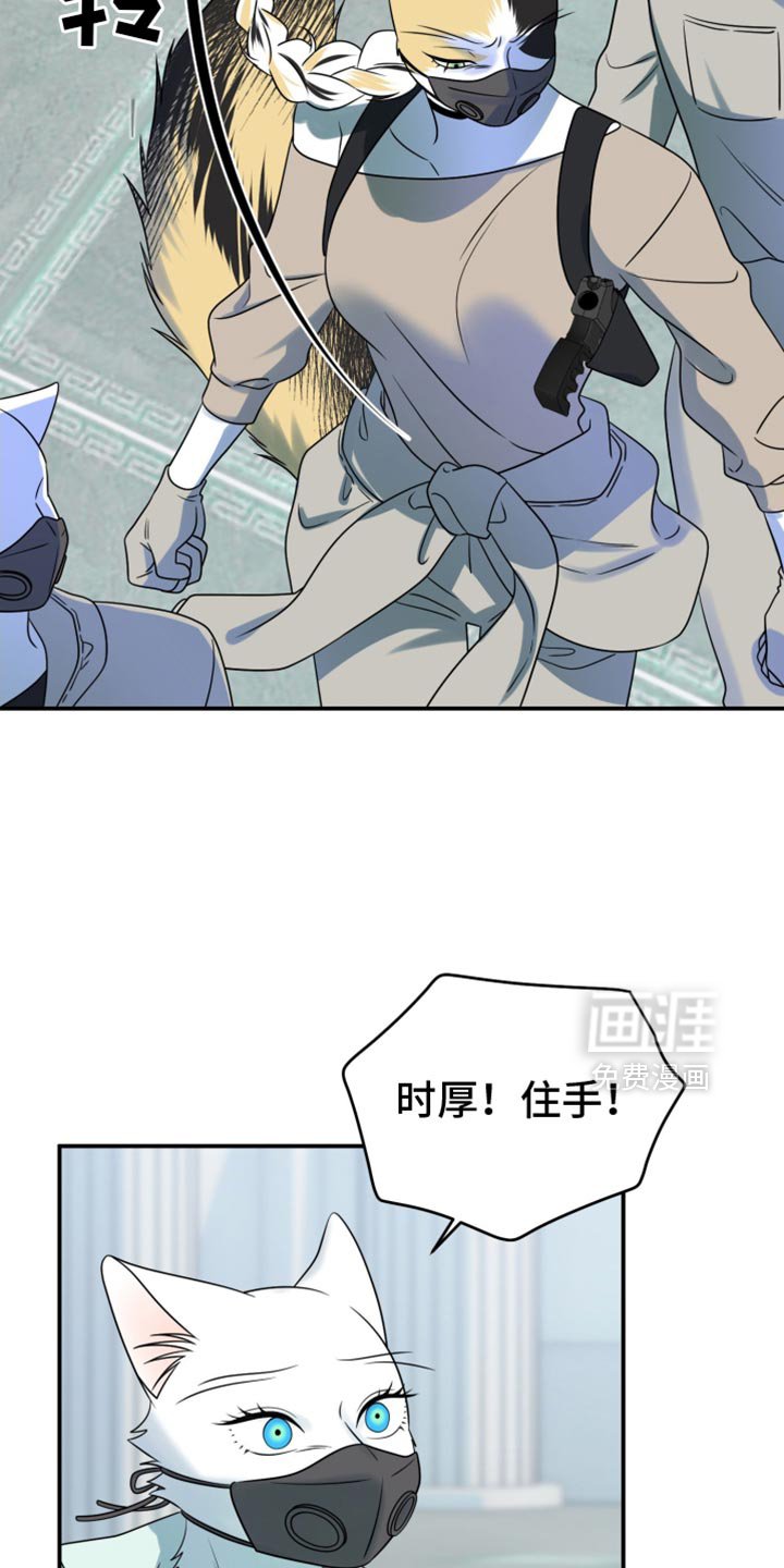 第126章：【第三季】冷静