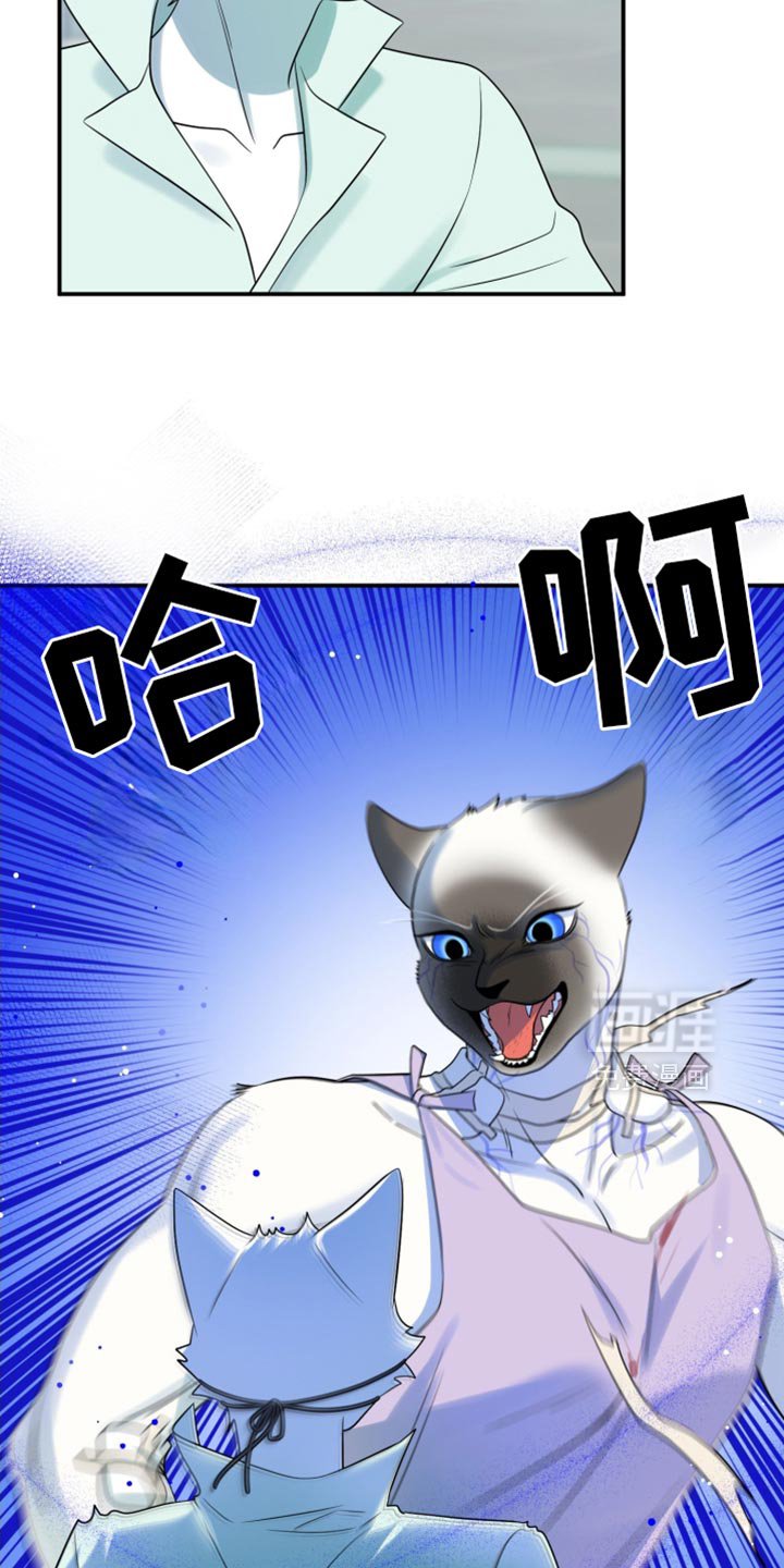 第126章：【第三季】冷静