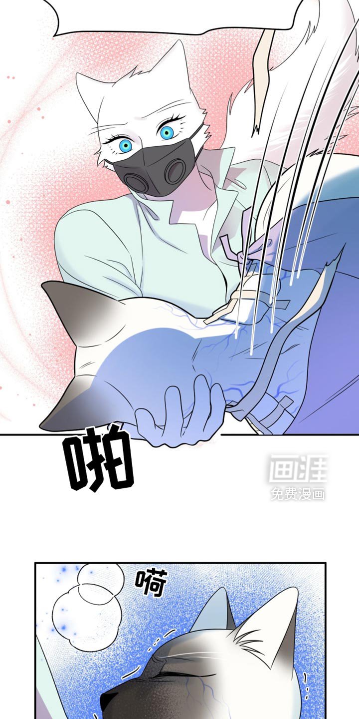 第126章：【第三季】冷静