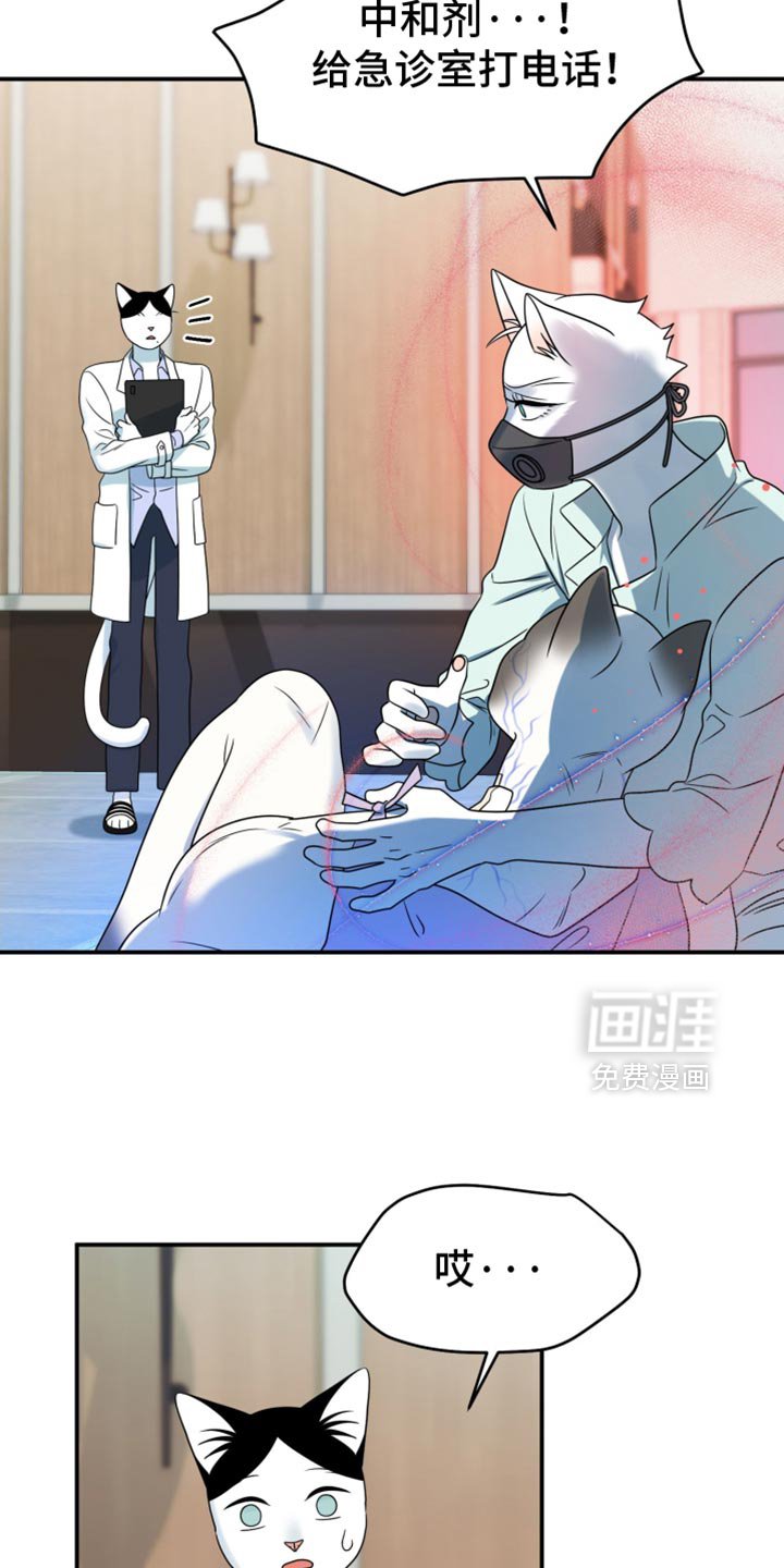 第126章：【第三季】冷静