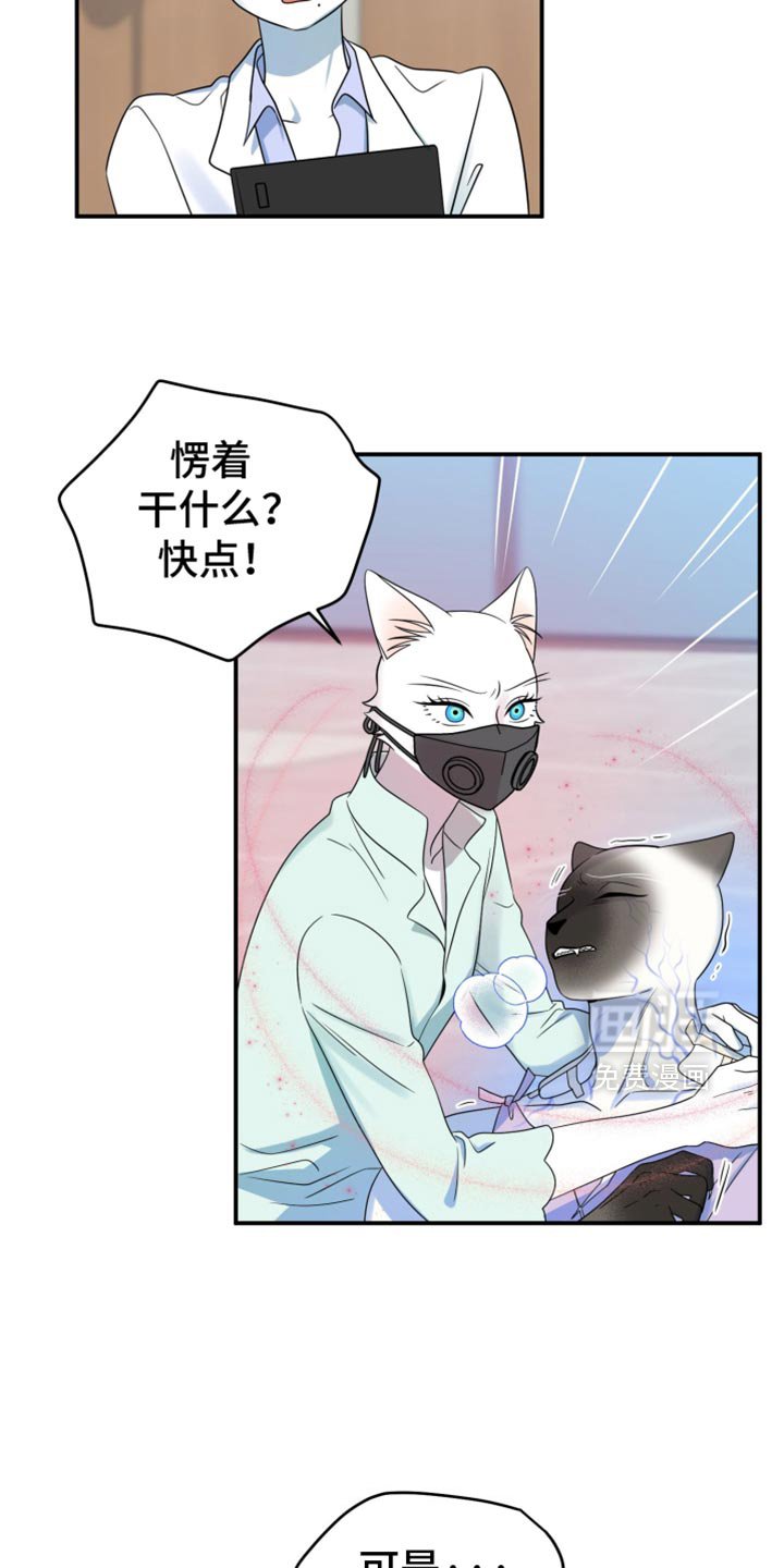 第126章：【第三季】冷静