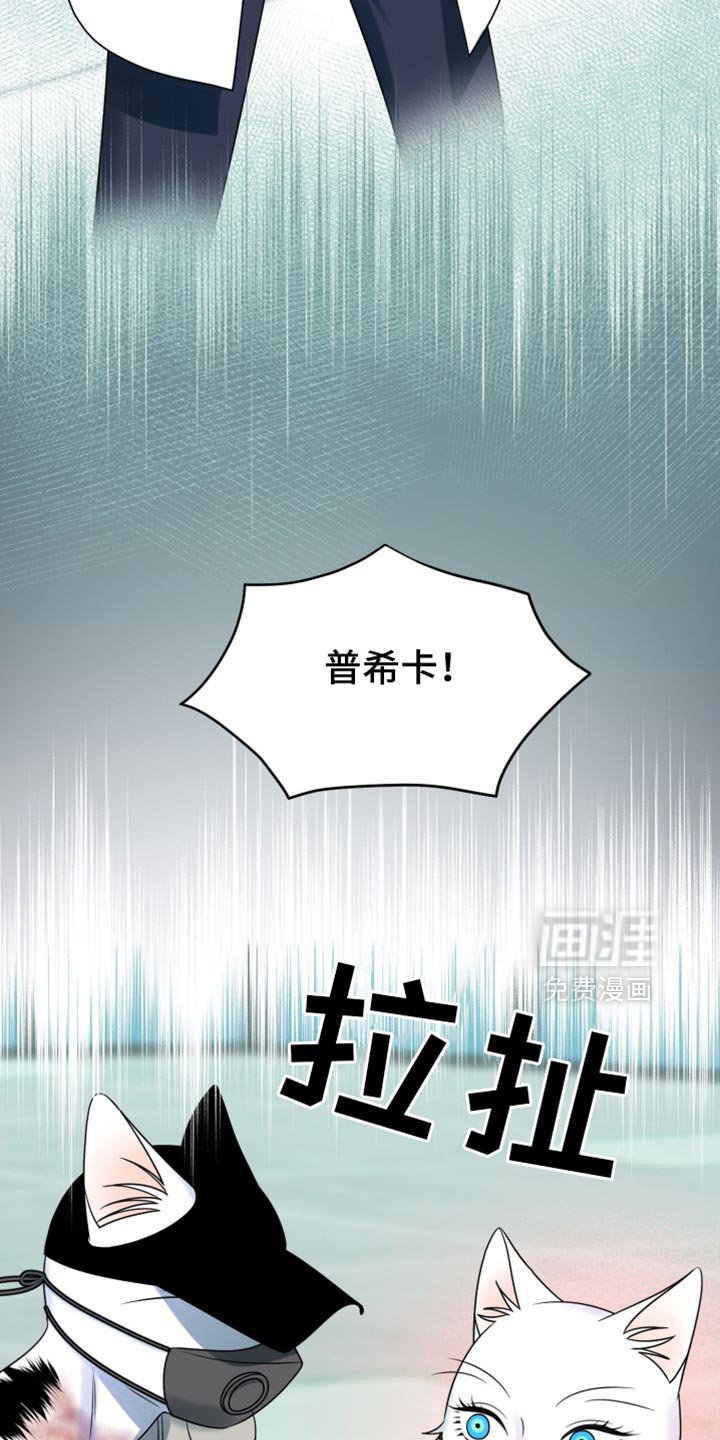 第127章：【第三季】别碰他