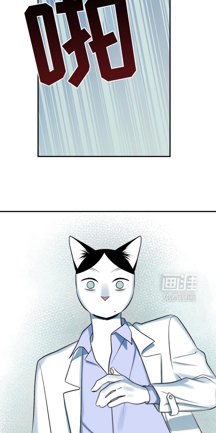 第127章：【第三季】别碰他