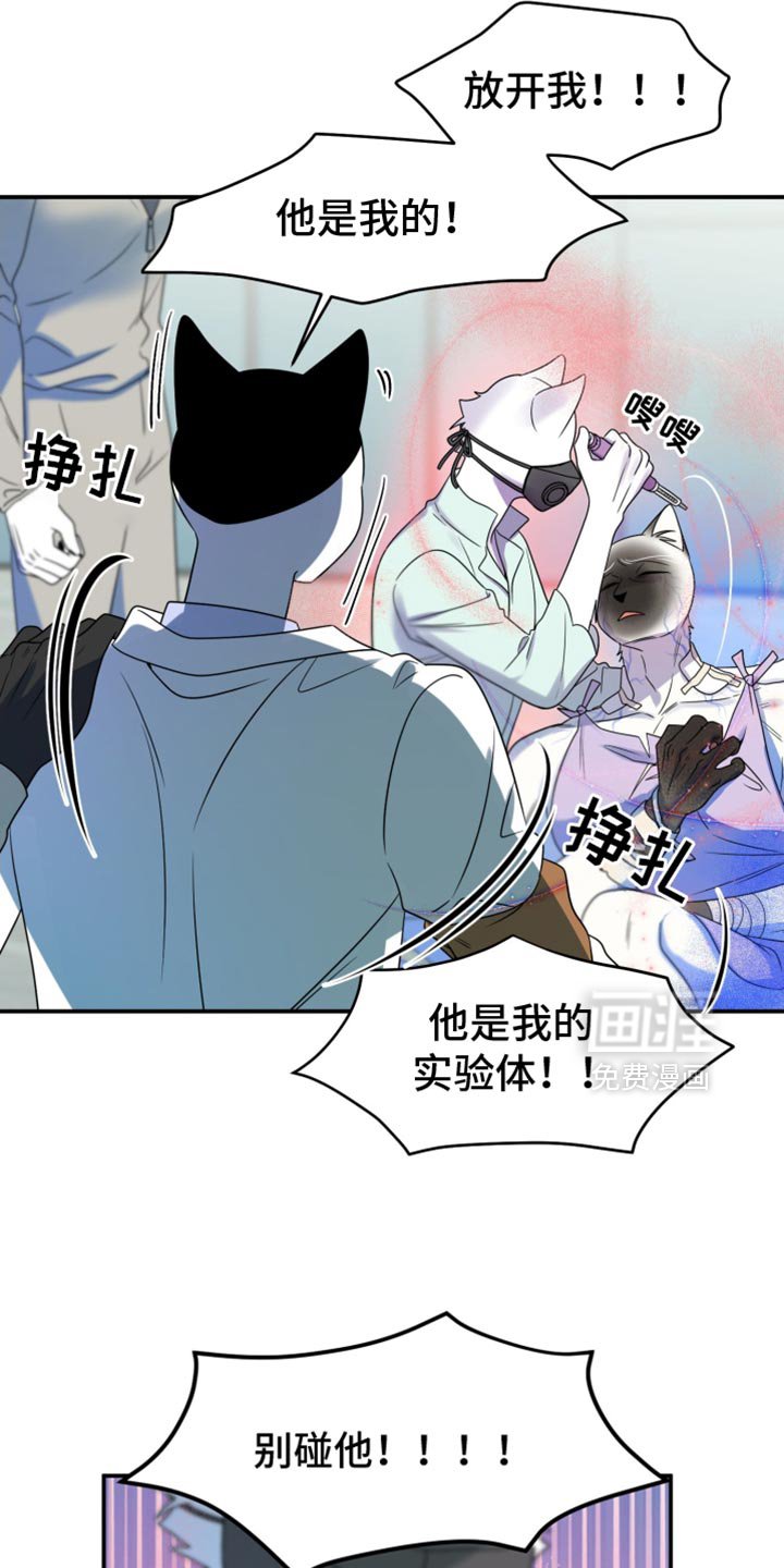 第127章：【第三季】别碰他