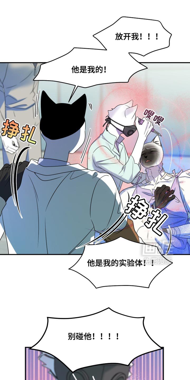 第128章：【第三季】我又失败了