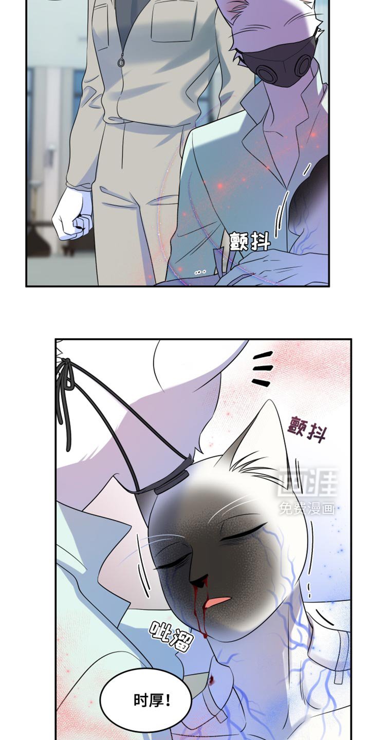 第128章：【第三季】我又失败了