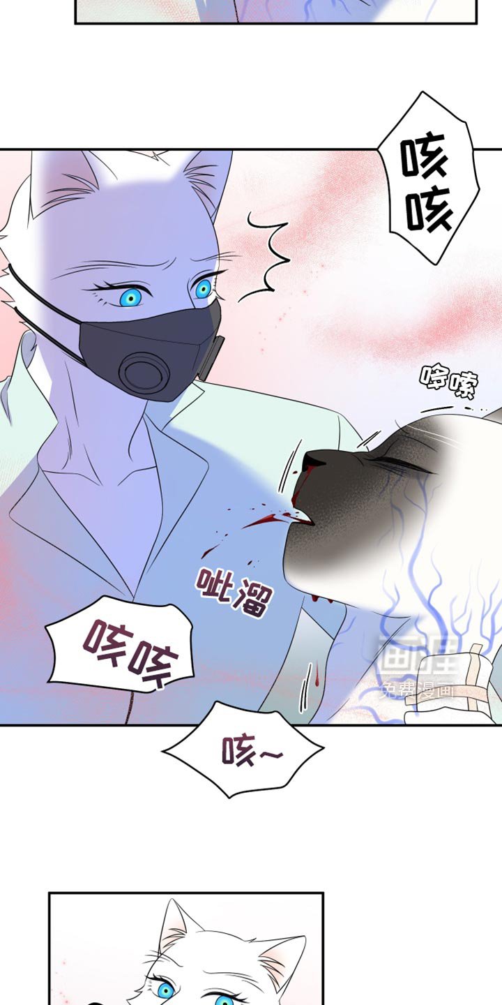 第128章：【第三季】我又失败了